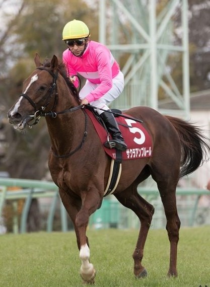 浅次郎競馬 Com 浅次郎競馬 Com